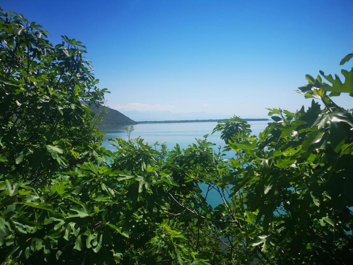 Apartment Dapcevic Skadar Lake Vranjina Exterior photo